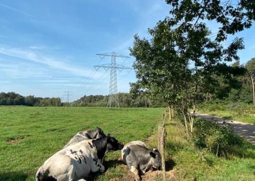 Een inspirerende omgeving voor uw voedselbos tussen Maasbree, Baarlo en Helden