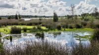 Andere methode van natuurherstel