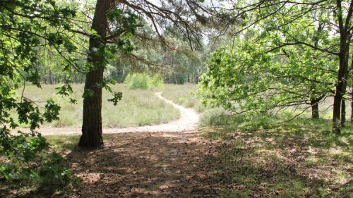 Ingenieursbureau investeert in natuurbeleving