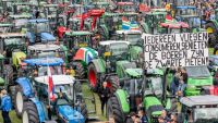 Boeren, neem zelf het initiatief op stikstof!