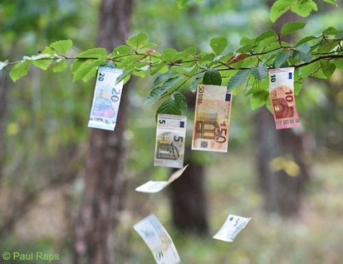 De fiscale voordelen van "Natuurlijk" Vastgoed