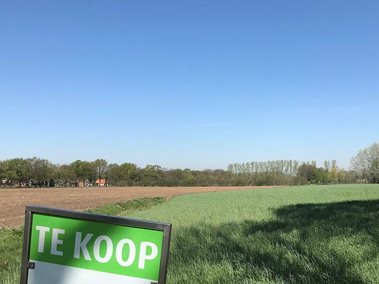 Belegger koopt steeds vaker landbouwgrond