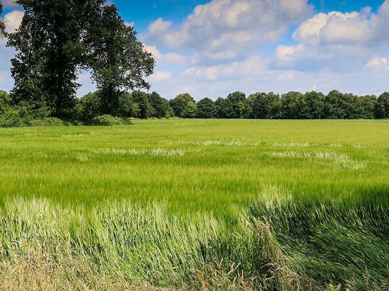 Afschaffen van de landbouwvrijstelling?