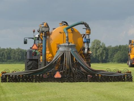 Veehouders betalen waanzinnige pachtprijzen